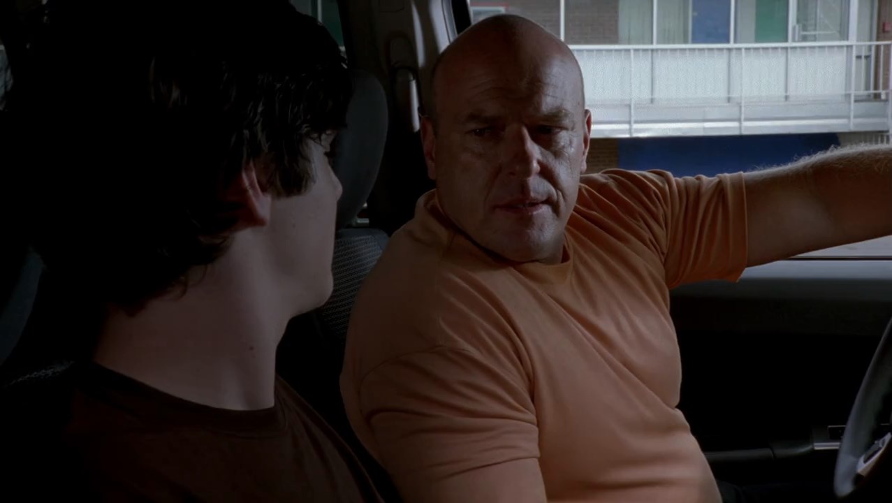 Breaking Bad (2008) Season 1 [Hindi + English] BluRay 480p 720p ESub - Complete Screenshot