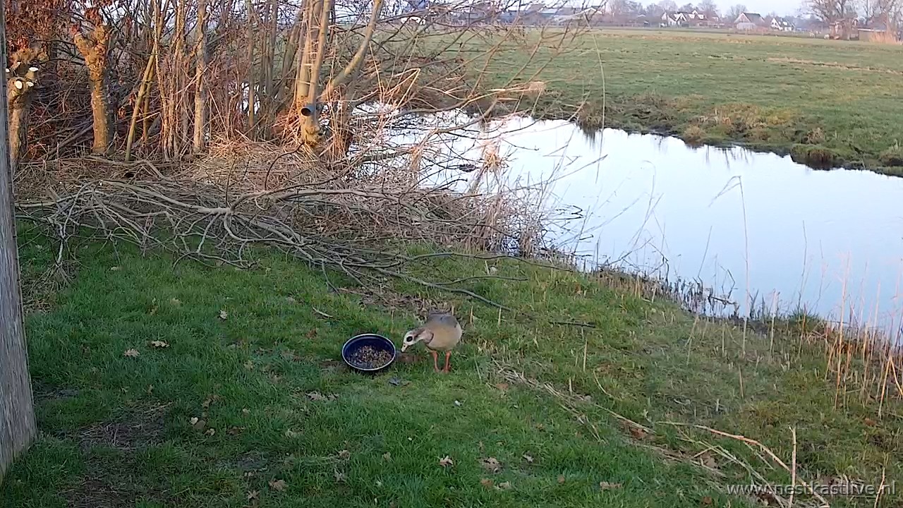 snapshot 2026 01 24T165014 343