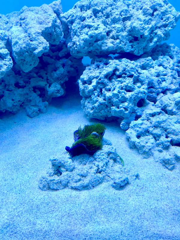 2717EA1A-B013-43E4-8569-1BC091D89888