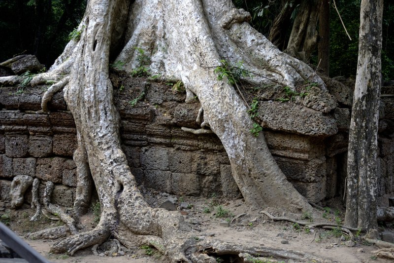 Angkor II. Circuito corto. - De la bahía de Halong a los templos de Angkor (2)