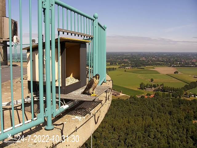 campics © VWGGemert vanaf 1 juli 2022 - Pagina 7 4