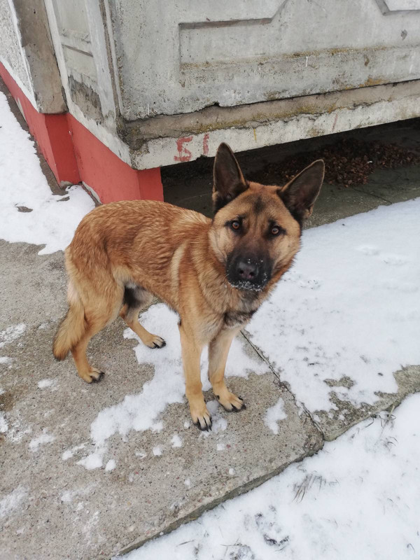 82CD7242-374B-4A99-B497-475386CF306D