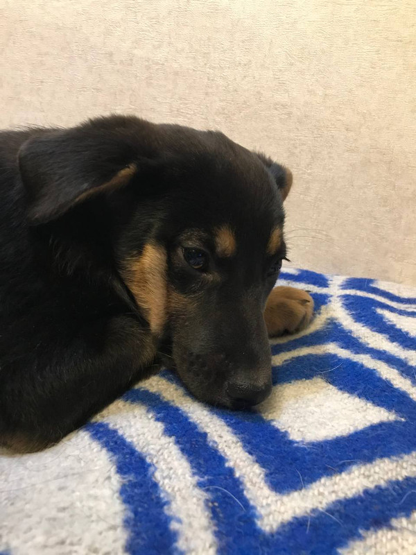 EFE7F649-2D5B-4E9D-B7E3-99E3EBE0ECDC