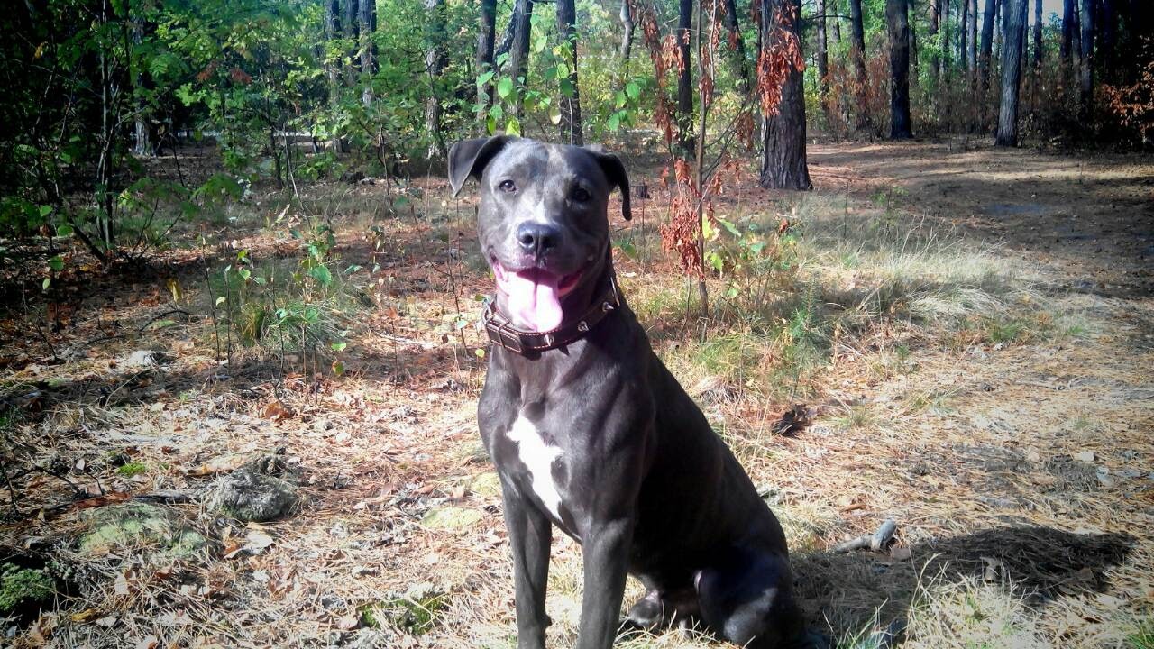 image-0-02-05-6203da6894a782fa5a224cd60f6f44dfbfc84f922328271dcc