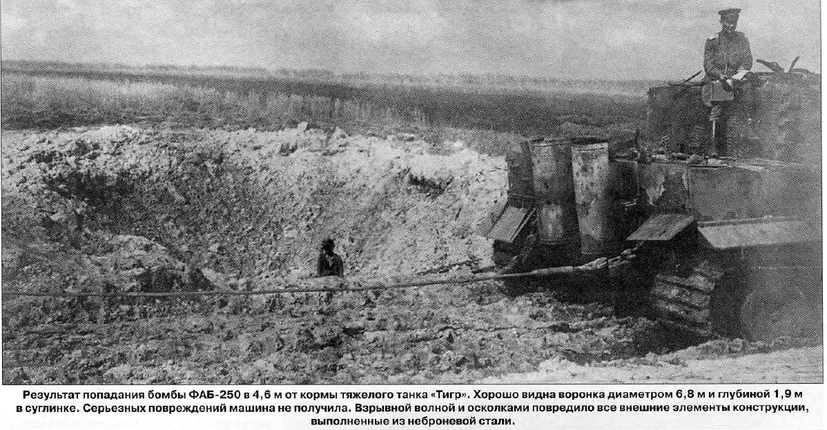 нем тигр 211214_2