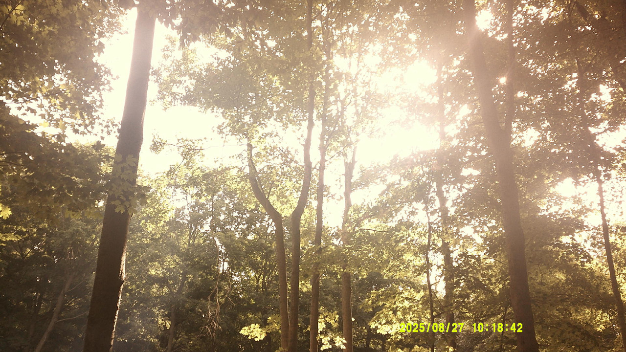 a green gradient