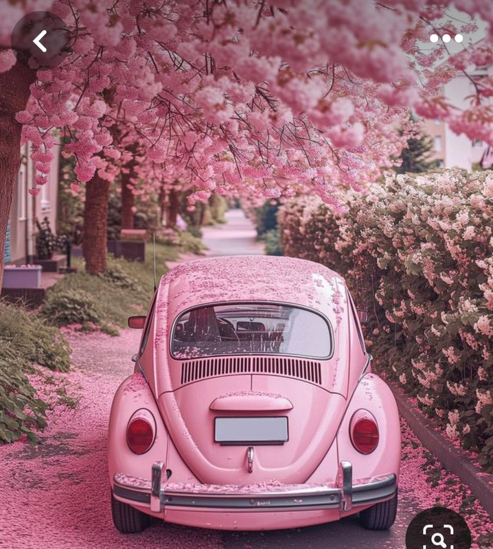 Screenshot_20240331_203033_Pinterest