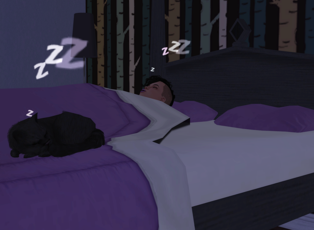 Sims2-EP9-RPC-2021-11-19-22-03-27-84