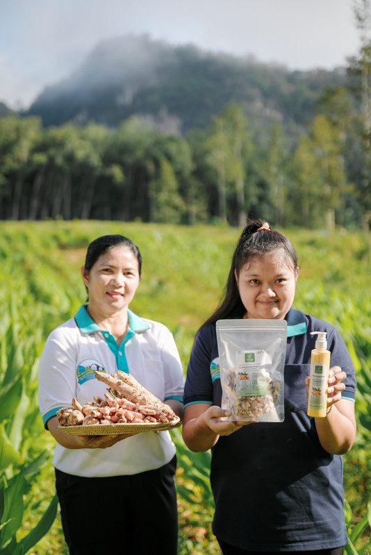 ผลิตภัณฑ์สมุนไพร วิสาหกิจชุมชนบ้านเขานาใน (5)