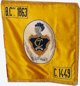 CCav1449