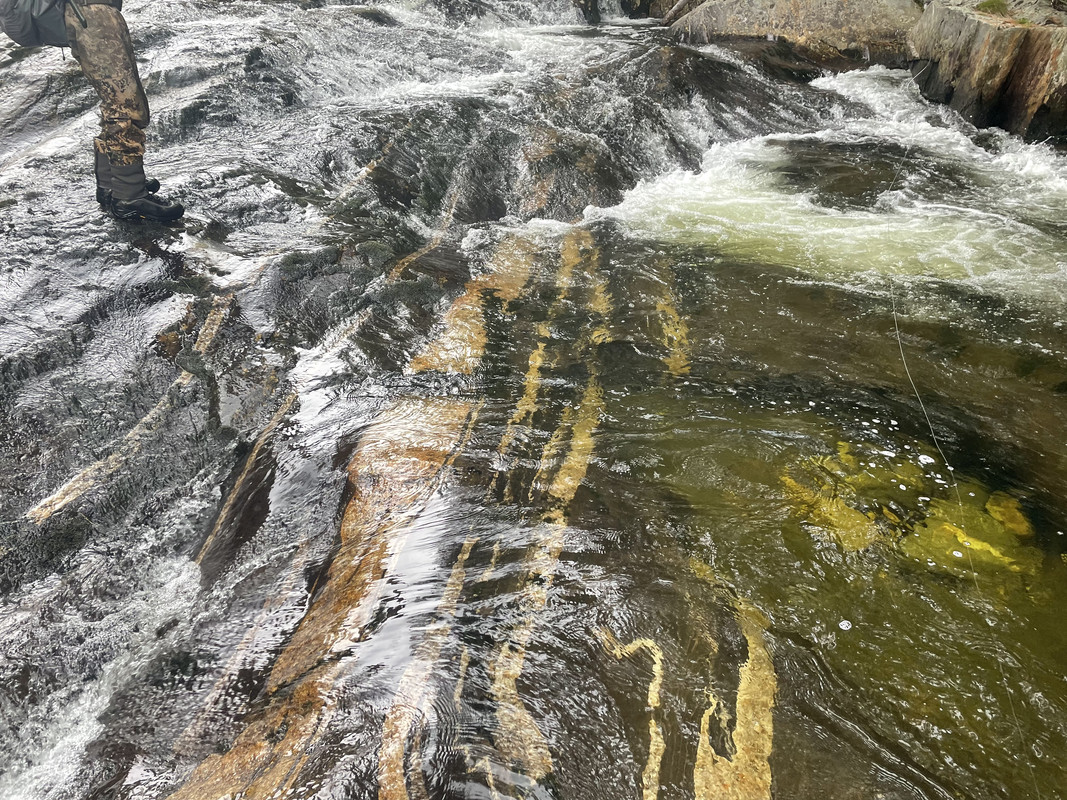 AA776FA0-1FBD-415E-A853-A8392CE2635E