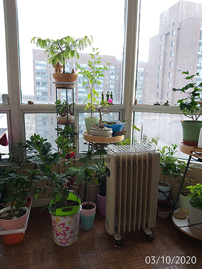 [Image: IMG-20201003-080818.jpg]