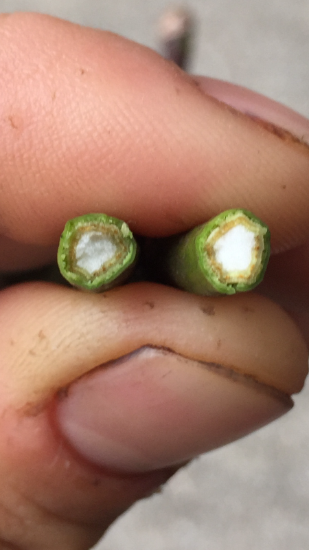 9D4D0295-9468-420B-9F62-E6C3DCC1AF92