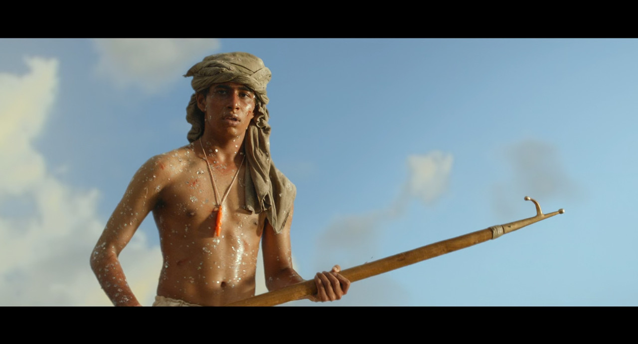 Life of Pi 2012 (1080p x265 10bit Tigole).mkv_sn