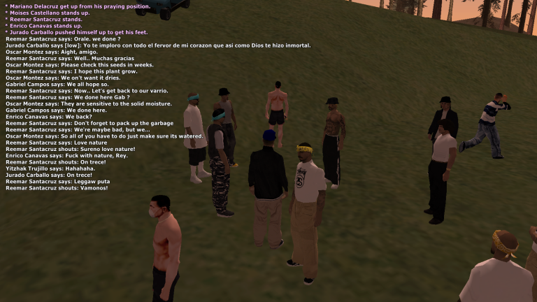 SS6.png
