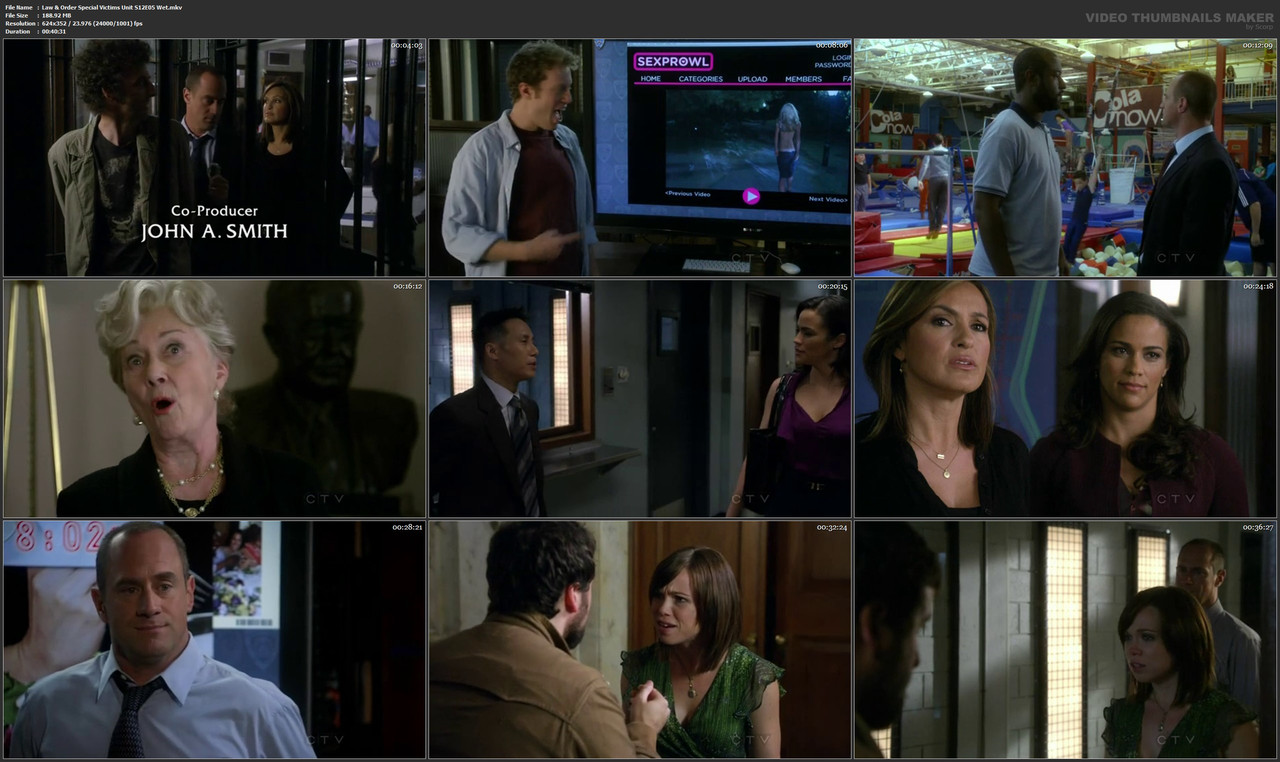 Law & Order Special Victims Unit S12E05 Wet.mkv