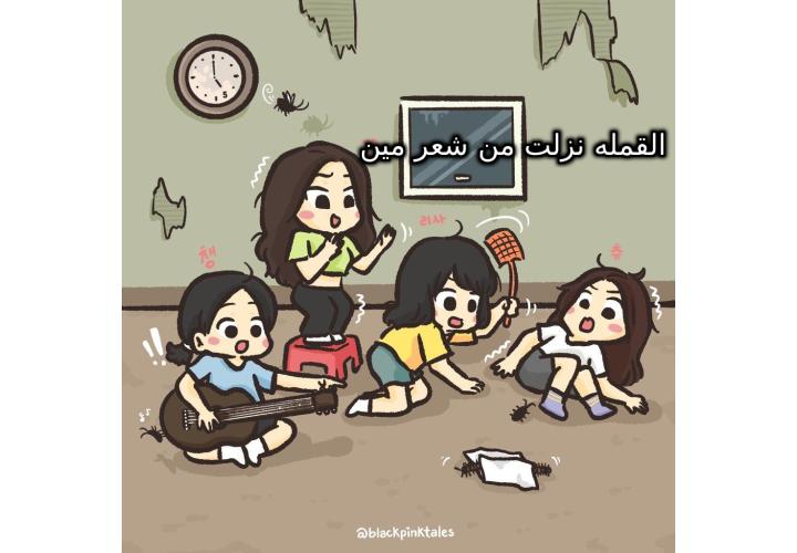 ���� ���� ������ �� ���� ������