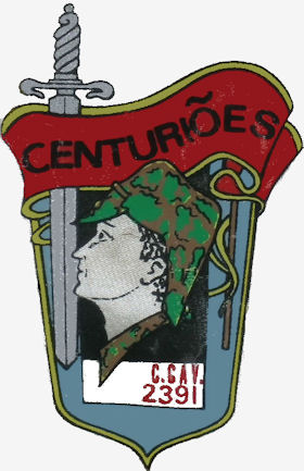 CCav2391