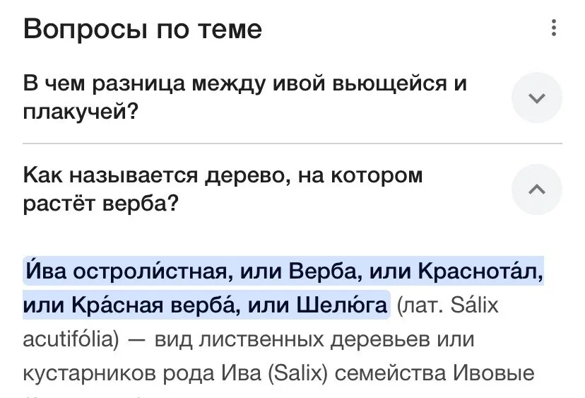 g-w-b-bp-webp-webp-webp-webp-b-b-webp-b-b-webp