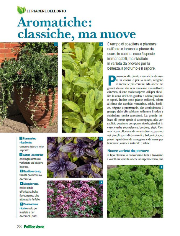 Pol Ver Apr 2026 (3)