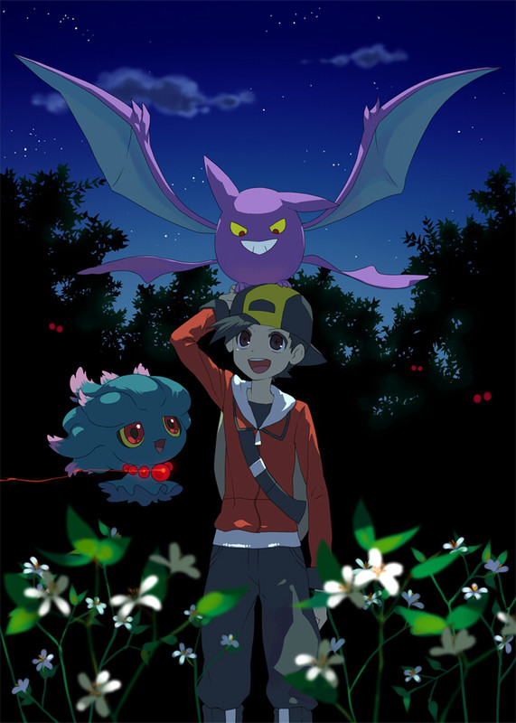 ethan-misdreavus-crobat-and-hoothoot-pok