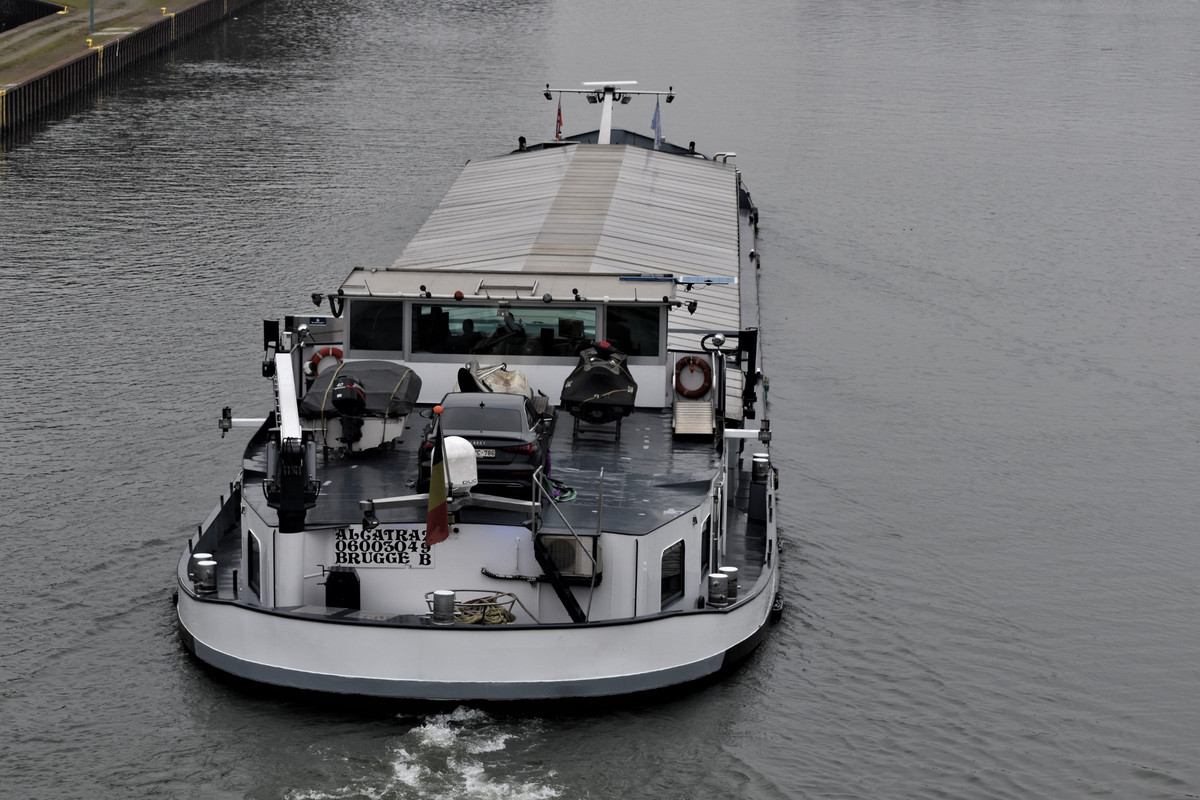 2023.02.12b5 Alcatra (1940x1293)