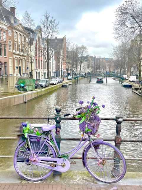 [Image: 47-C4-B8-D5-3-AAC-461-A-9041-A86-DB42-E26-C7.png]