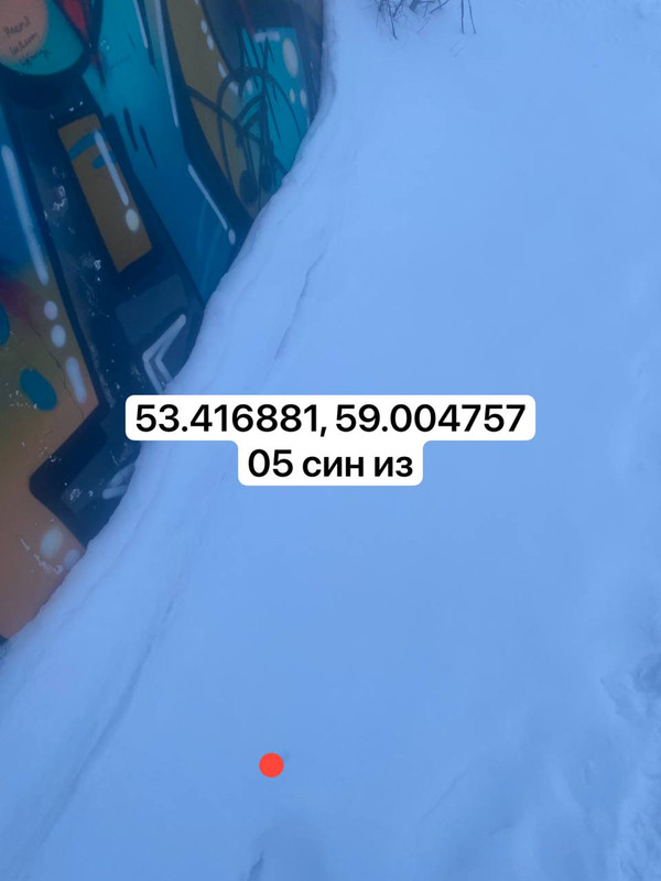 IMG 20260303 054235 767