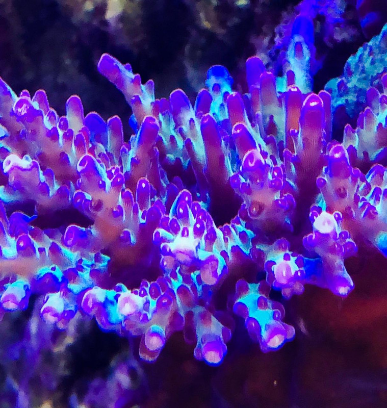 7DFBB96F-3C45-4912-A025-E44424C14C08