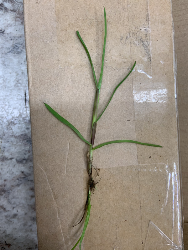 68134206-5858-4B95-8E7E-822F543B6C1A