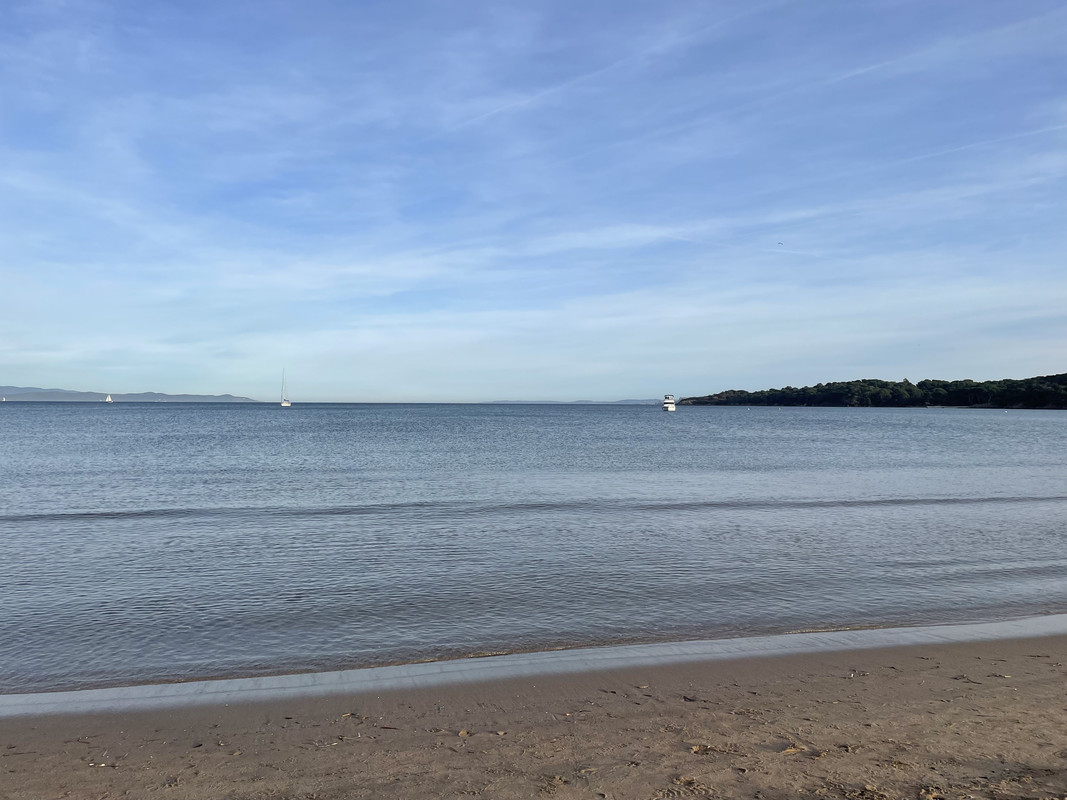 965E8C73-B8DC-4349-BF35-79C76C84399E