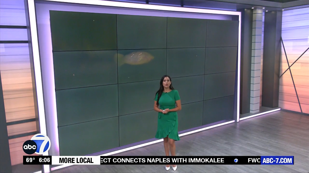 Abc7 More In The Morning Wkn 6Am Su 20240317 10001100-1.mp4_snapshot_07.05.713