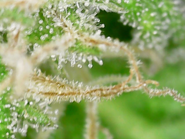 Snapshot@2021_1101_162744