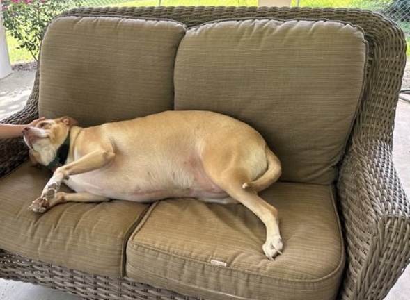 Screenshot 2025-07-22 at 3.26.23 PM