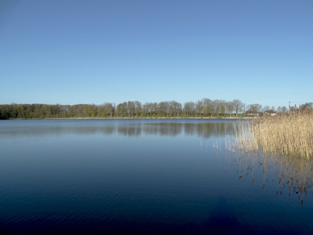 01.19 - DSC06745 (Czesio1)