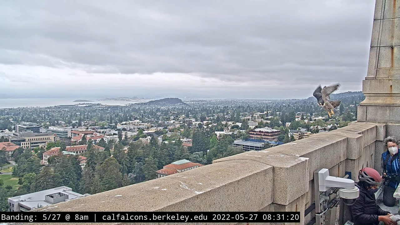 5-27-22 Banding (Raw West Footage) 21-30 screenshot