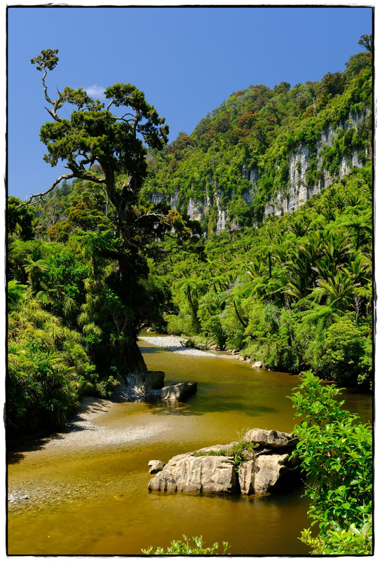 Paparoa NP: Paparoa Track (diciembre 2024) - Escapadas y rutas por la Nueva Zelanda menos conocida (50)