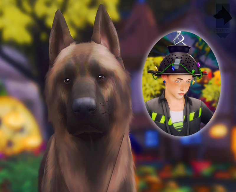 10/19 JACK O' LANTERN JAMBOREE ALLBREED CONFORMATION SHOW Sims International Kennel Club