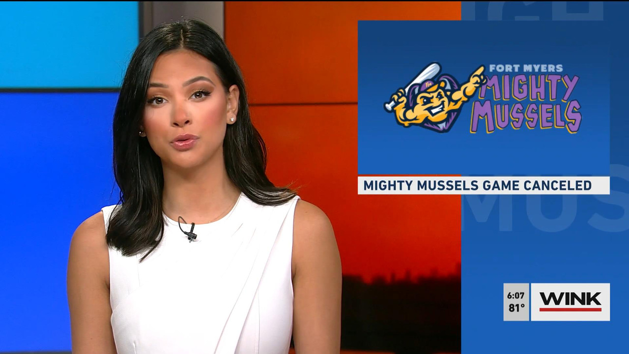 08.01 - 11.00.00 - WINK News @ 6 00AM Sunday. Local news, sports and ....ts_snapshot_00.06.55_[2021.