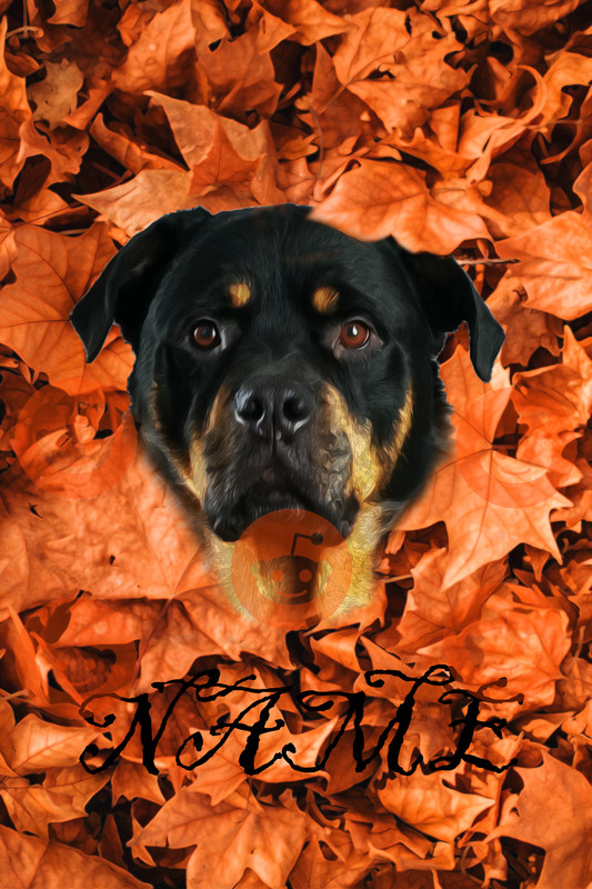 Hello Fall Scene Rottweiler Can somebody blend the rottweiler picture with autumn leaves similar to ...