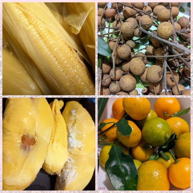 [Image: Photo-Grid-1609730687986.jpg]