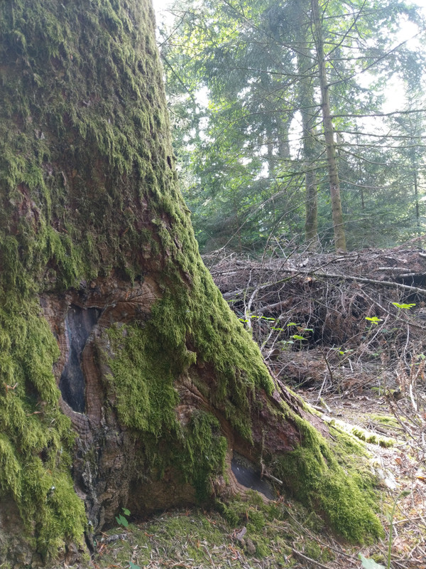 847F2275-C79D-4876-8F33-0459962CB8CB