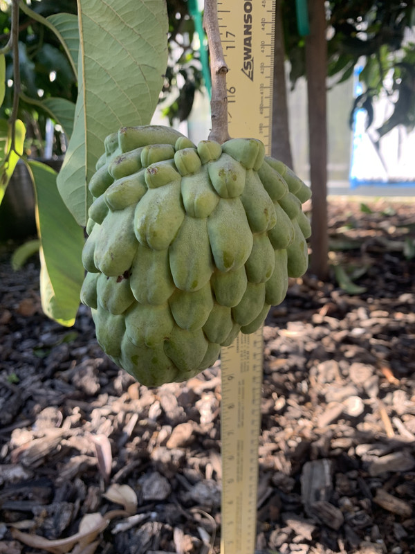 00862213-FA77-4919-A0FD-C2673BA93598