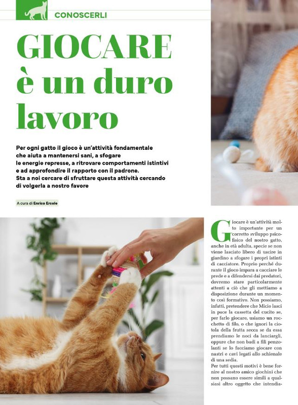 Ga Ma Feb-Mar 2025 (11)