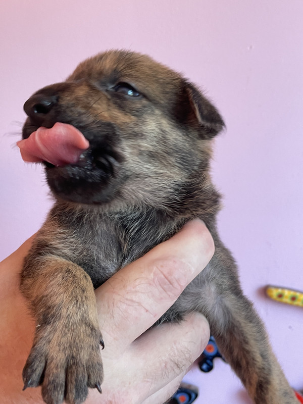 619EF8AF-9690-4E23-BF03-01F9F94FDC7D