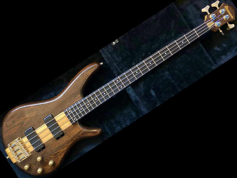Clube Japanese Basses from the '80s - Página 5 Ibanez-Musician