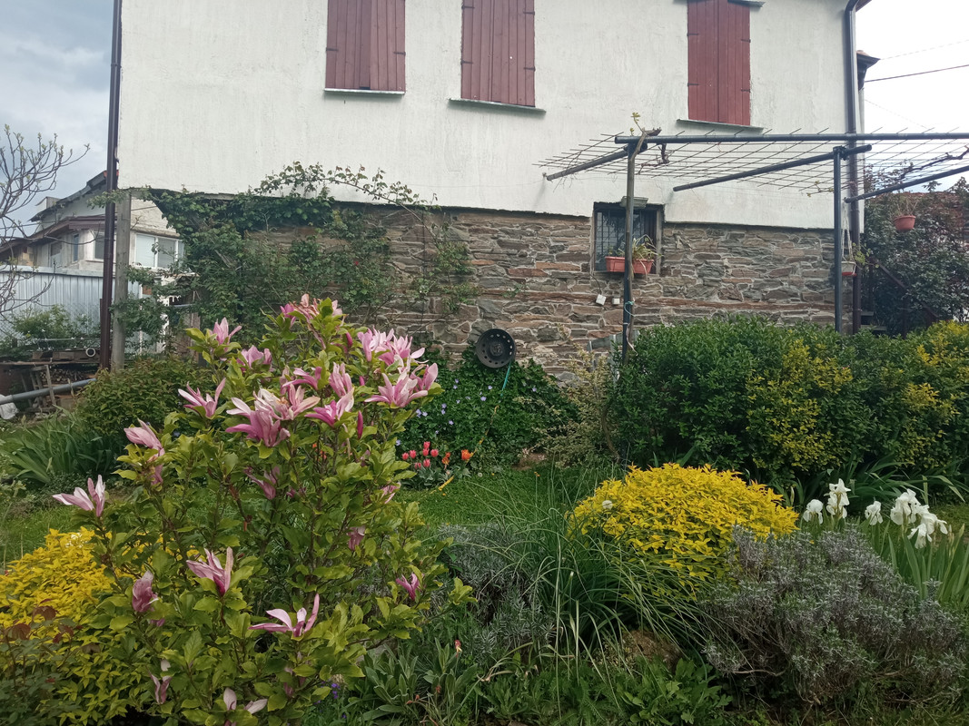IMG_20230430_171728