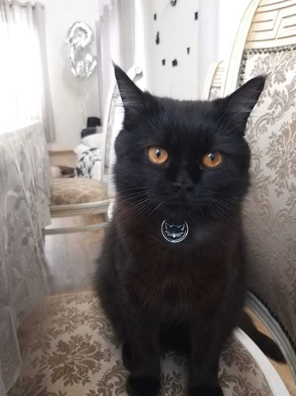 D15B1281-4943-4418-9F32-278E9062E494