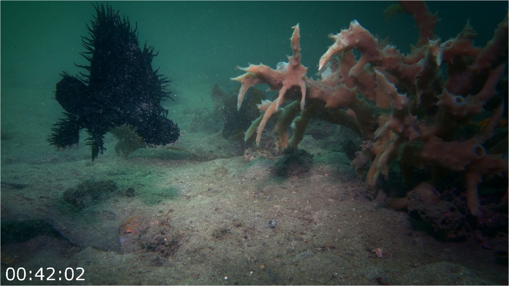 [Image: qvm83c6rw4pb.png]