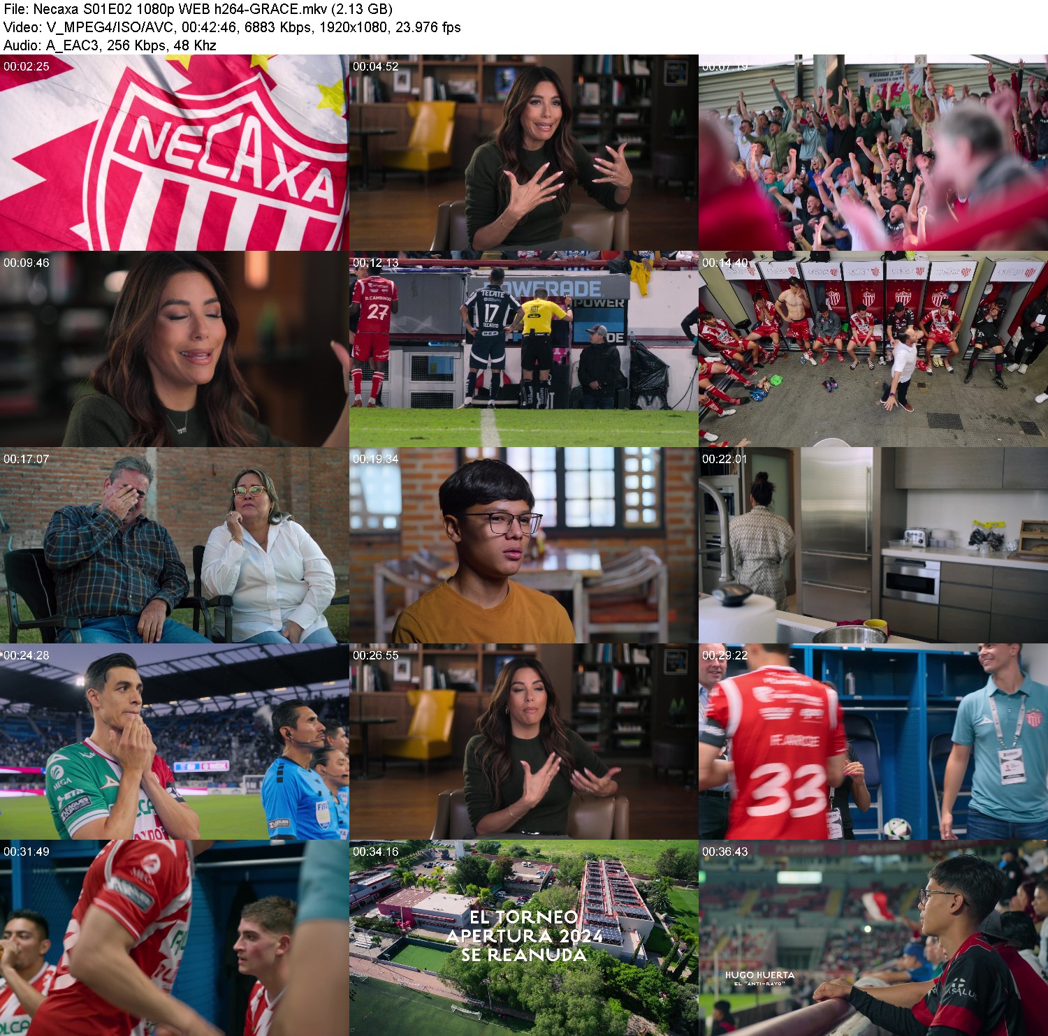 [Image: gw0zia7zsc77.jpg]